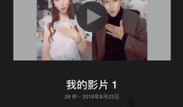 视频合成,一窥全貌，尽在掌握