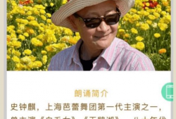 青草视频,探寻自然之美，感受生命律动