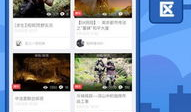 5x社区免费视频,免费视频盛宴，解锁无限知识宝藏